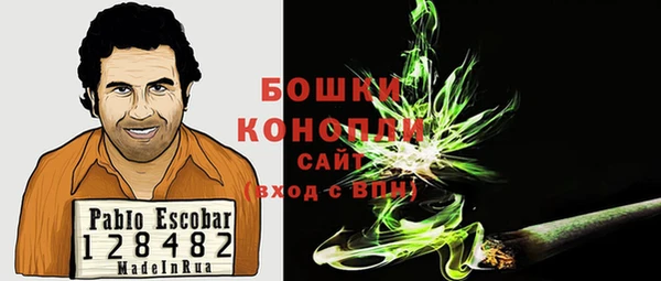 МДПВ Карпинск