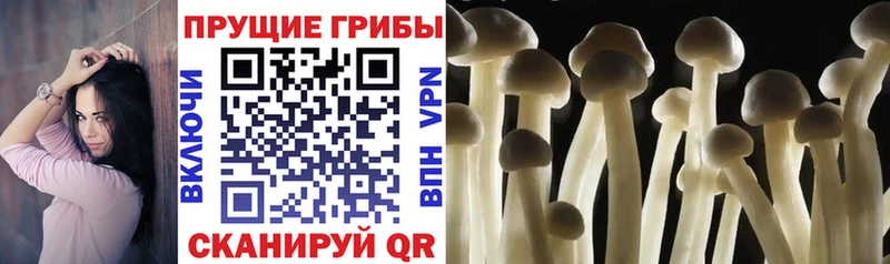 Галлюциногенные грибы MAGIC MUSHROOMS  Купить где  Зерноград 